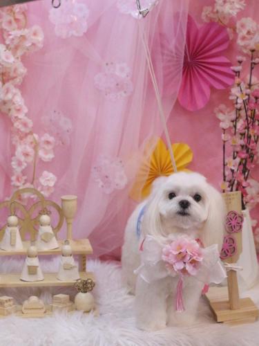 20250311ココくん